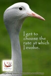free will