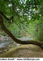 Choosing Happiness In Difficult Times By Jan Engels-Smith Choosing Happiness
