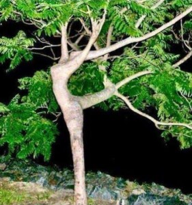 change in consciousness change in consciousness