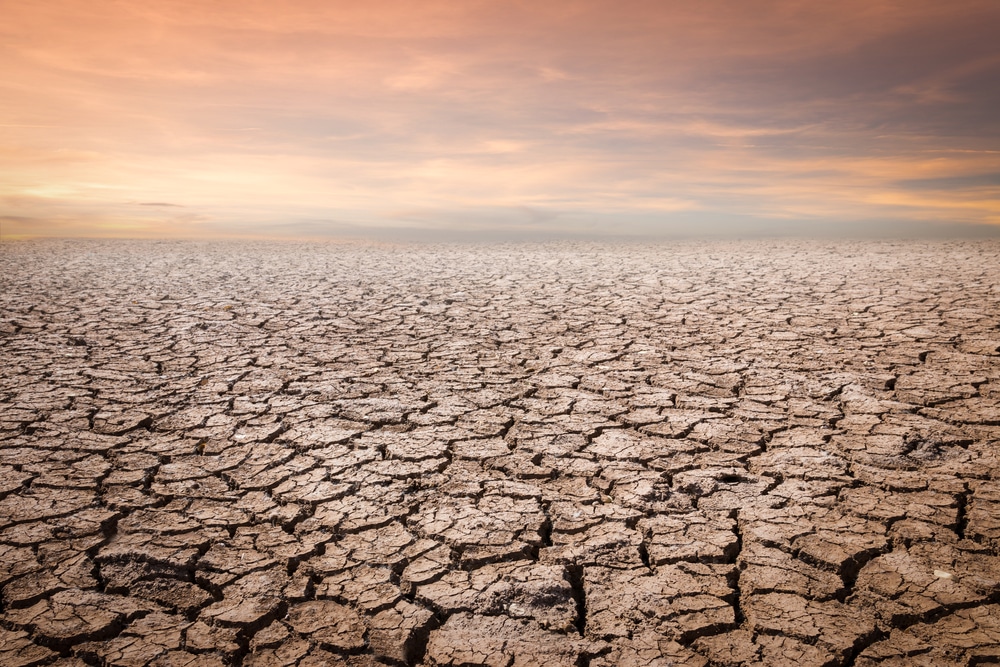 Climate Change