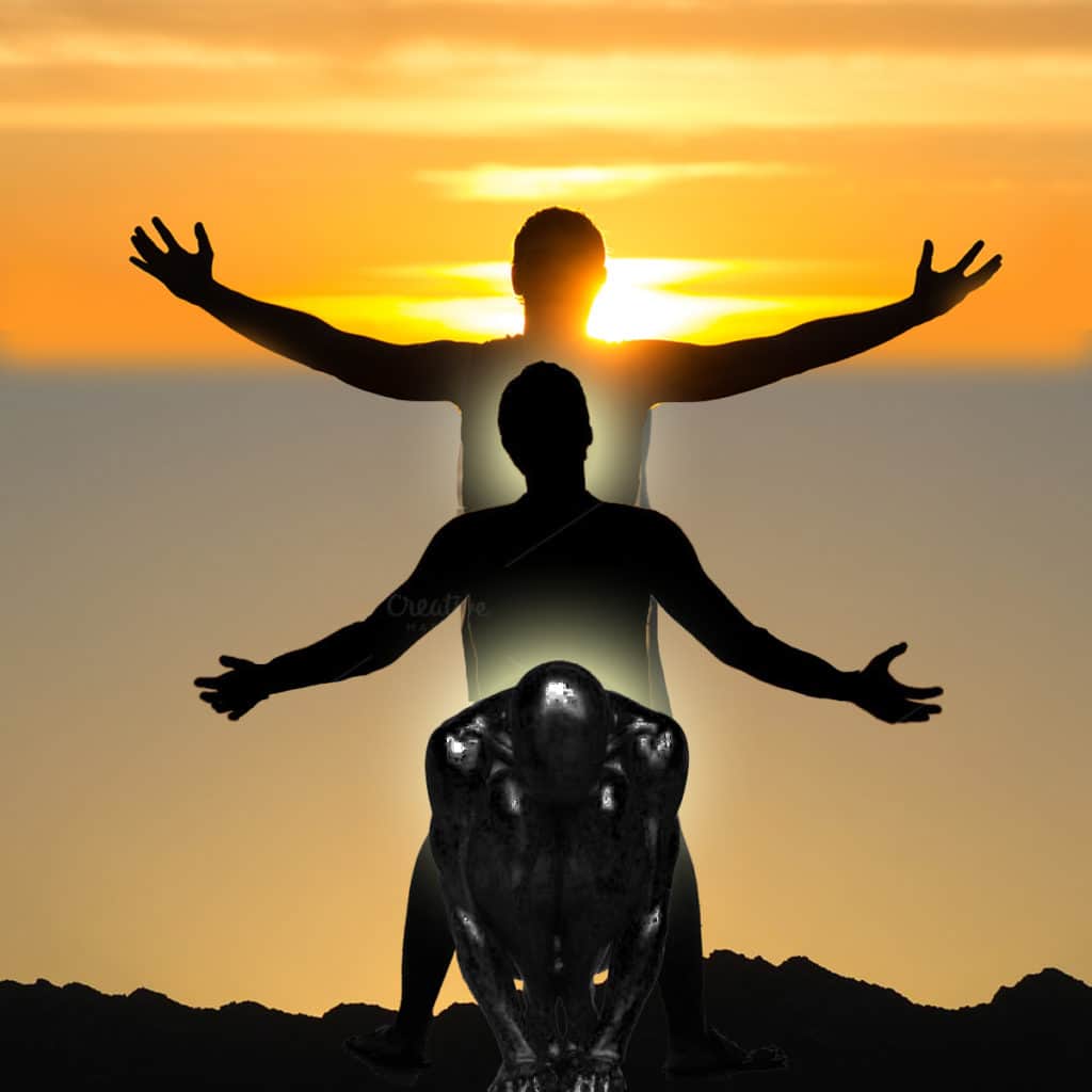 Shamanic Rabbit Level 1: Through the Rabbit Hole Basic Shamanic Journey Skills Online ...