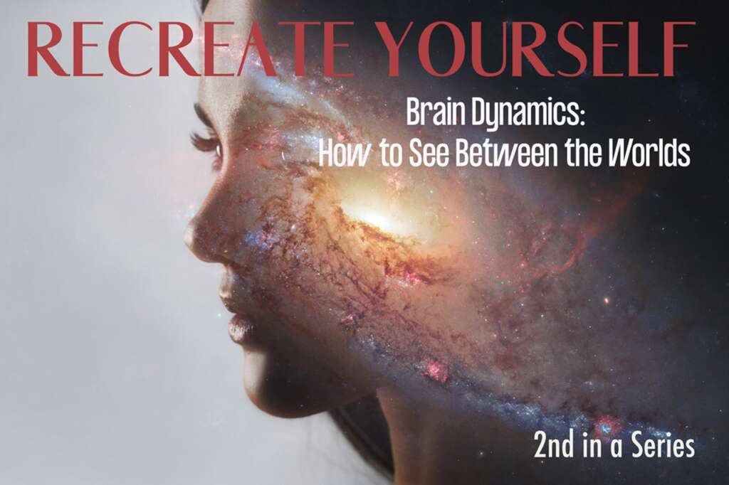 RecreateYourselfBrainDynamics